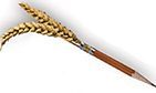 Pencil with wheat attached